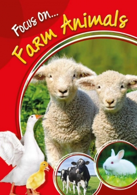 Gros plan sur - Les Animaux de la ferme