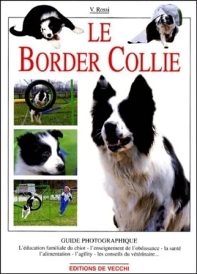 Le Border Collie