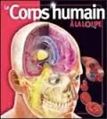 Le Corps Humain À La Loupe