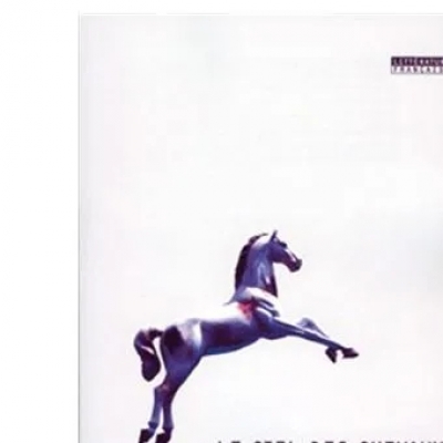 Le Ciel des chevaux