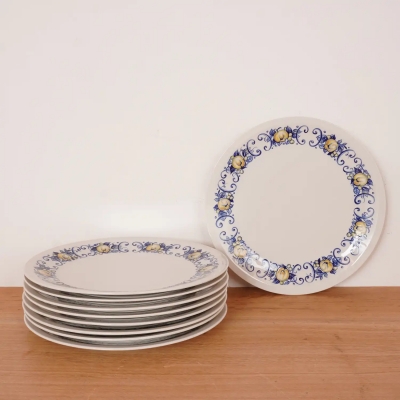 9 assiettes plates en vitro porcelaine Villeroy&Boch 