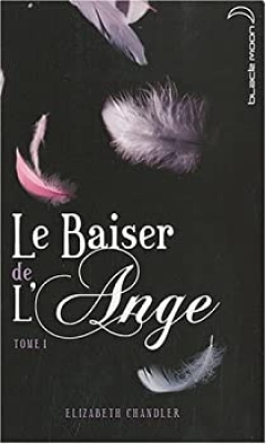 Le baiser de l'ange, tome 1 : L'accident