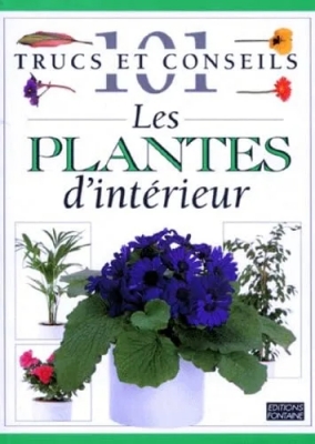 Les Plantes D'intérieur