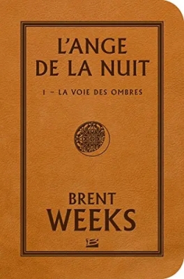 L'Ange de la nuit, tome 1 : La Voie des ombres