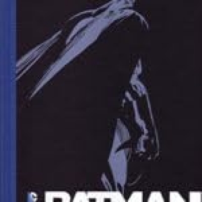 Batman -tome 10 - Catwoman - &Agrave; Rome...(Le Soir)