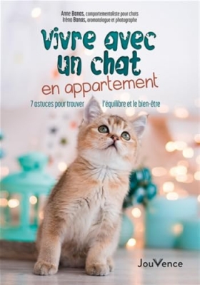 Vivre avec un chat en appartement: 7 astuces pour trouver l'&eacute;quilibre et le bien-&ecirc;tre