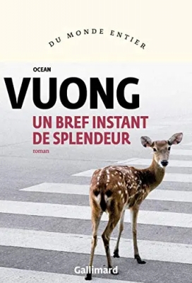 Un bref instant de splendeur - Roman