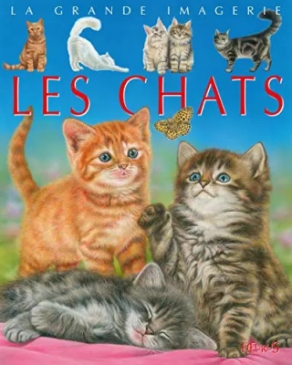 La grande imagerie - Les chats