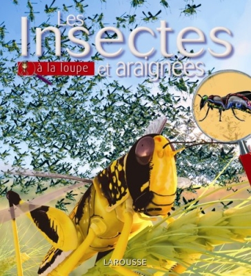 Les Insectes et araign&eacute;es &agrave; la loupe