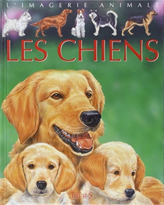 L'imagerie animale - Les Chiens