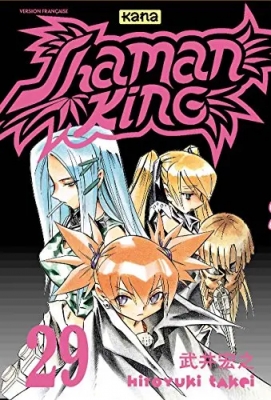 Shaman king - Tome 29