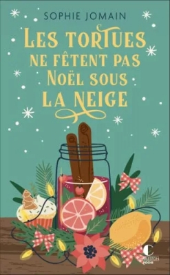 Les tortues ne f&ecirc;tent pas No&euml;l sous la neige