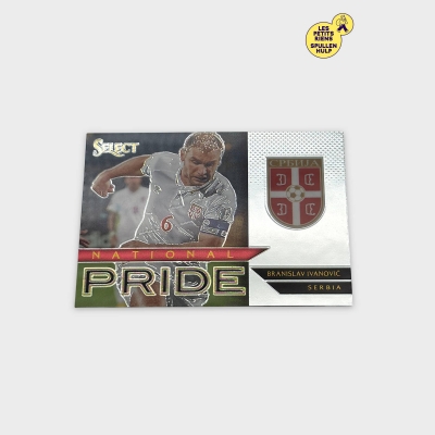 Carte joueur foot Branislav Ivanović Panini 