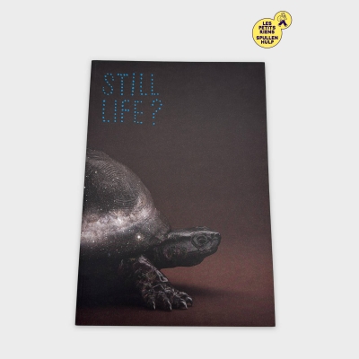 Livre d'art Still Life 