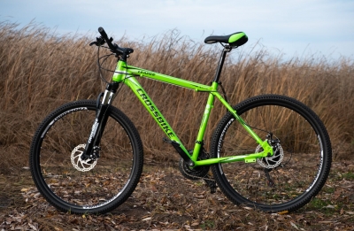 Vélo à pignon fixe