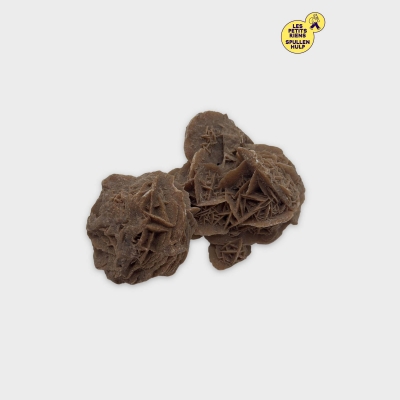 Rose des Sables Naturelle 🏜️ Décoration Minérale