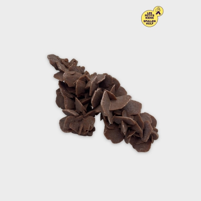Rose des sables marron décorative 🏜️