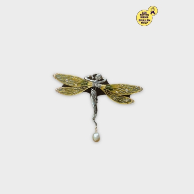 Livre Art Nouveau 📖 Bijoux en Europe