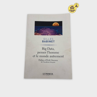 Livre Big Data, penser l'homme et le monde autrement 📚