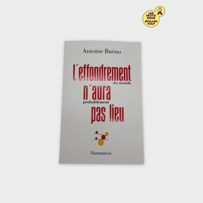 Livre 📚 L'effondrement n'aura probablement pas lieu - Flammarion
