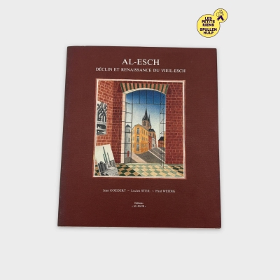 Livre 📚 Déclin et Renaissance du Vieil-Esch - Histoire & Architecture