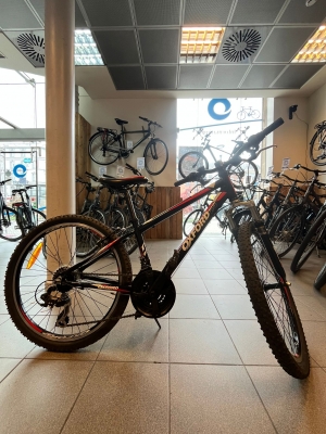 Oxford VTT 24