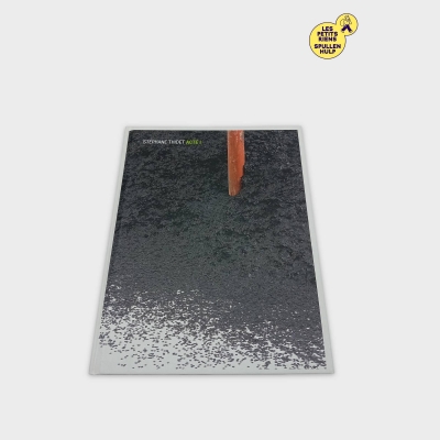 Livre D'art Stéphane Thidet Arte I Exposition Contemporaine (BL716)