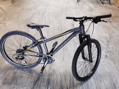 VTT Orbea 24 
