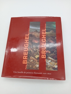 Livre Art Brueghel Luca Verlag Lingen (BL943)