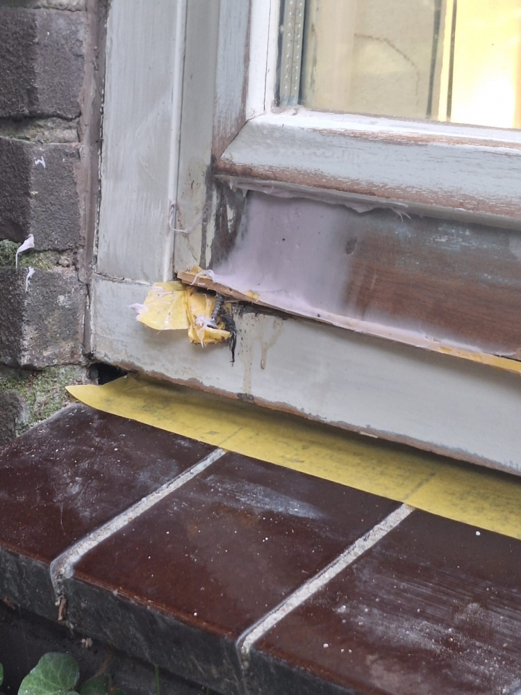 Houtrot reparaties aan kozijnen en gevelonderdelen