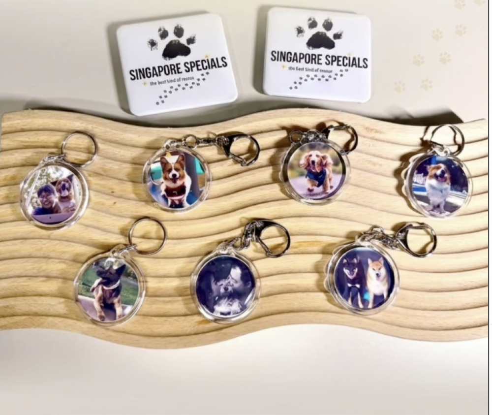Live Station: Custom Magnets / Keychains for your event