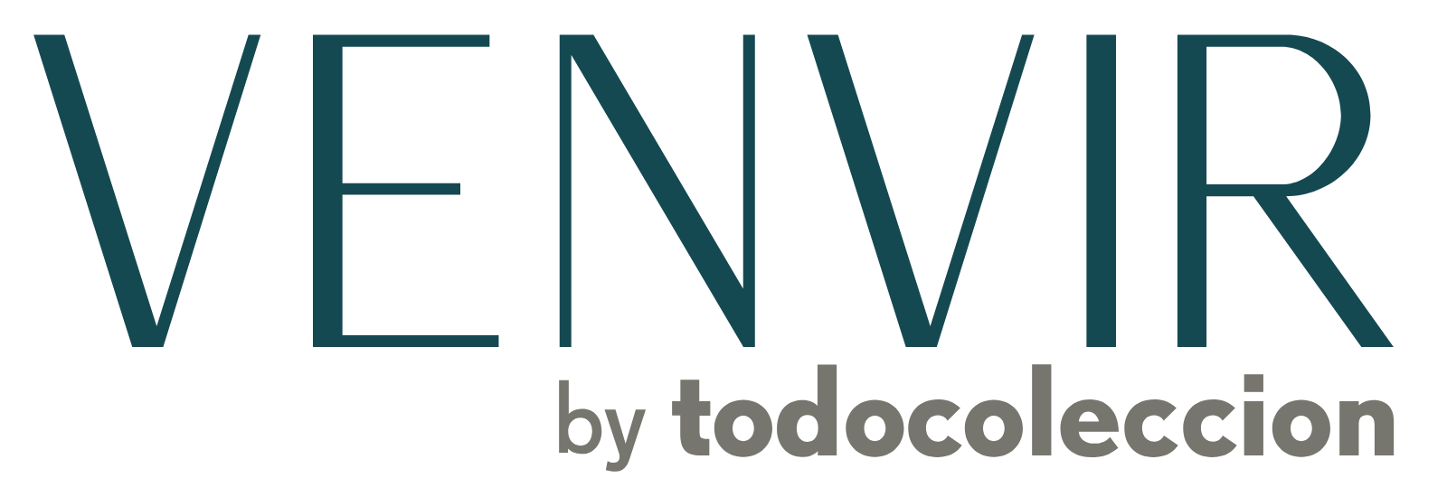Venvir_logo