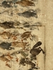 Juego de las Parejas, lápiz, aguada y tinta, coreográfica ecuestre, ca. 1785–1798