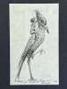 Roberto Fabelo, Cuba, dibujo original a tinta firmado del año 1998