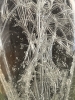 Henryk Albin Tomaszewski, Polonia, escultura de cristal
