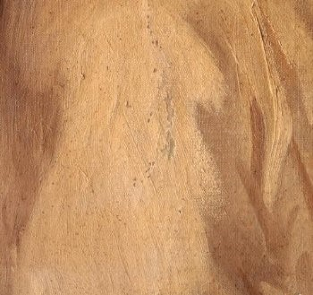 Gabriel Nicolet (1856–1921) · Retrato con vestido blanco · Óleo sobre lienzo · 1915