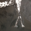 Gino Hollander (1924–2015), Caballo blanco, acrílico sobre lienzo, 2010