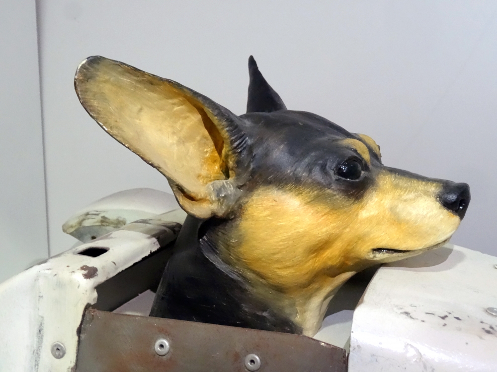 Lluis Roig, escultura figurativa perro chihuahua montado en coche de carreras