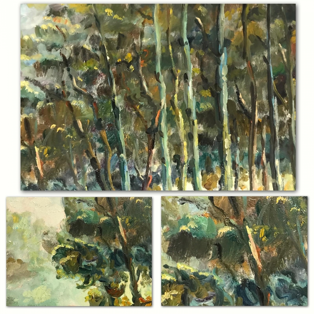 ”Claros de Luz en el Bosque”, escuela europea de los años 60-70 del siglo XX