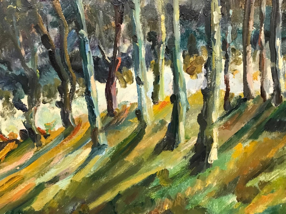 ”Claros de Luz en el Bosque”, escuela europea de los años 60-70 del siglo XX