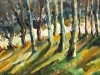 ”Claros de Luz en el Bosque”, escuela europea de los años 60-70 del siglo XX
