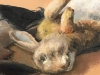 ”Nature Morte Retour de Chasse”, Maurice Ambroise Ehlinger (1896-1981), años 50-60 del siglo XX