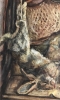 “Bodegón de Caza”, óleo sobre lienzo, Glòria Morera Font (1938), años 70 del siglo XX
