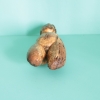 Putto / querubín barroco español del siglo XVII, madera de pino