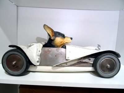 Lluis Roig, escultura figurativa perro chihuahua montado en coche de carreras