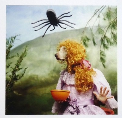 Fotografía artística contemporánea de William Wegman con escena de perro disfrazado moda