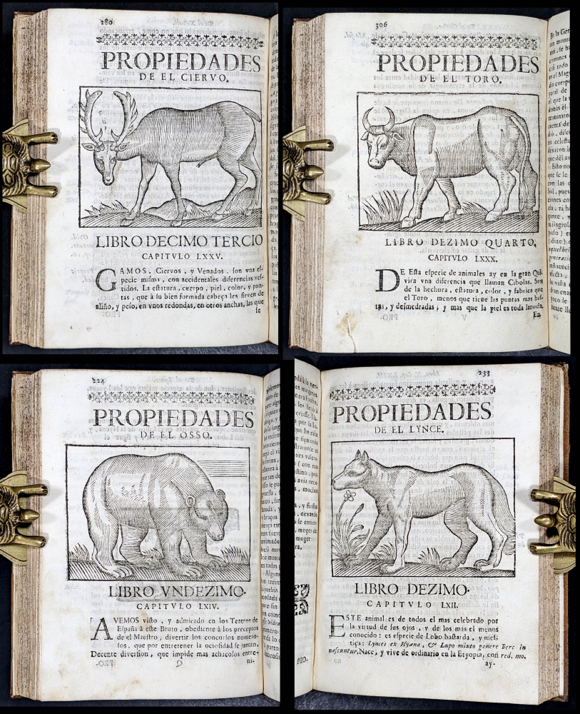 Año 1696 Unicornio. Libro de emblemas castellano. Andrés Ferrer de Valdecerebro, \"Govierno general, moral y politico, hallado en las fieras y animales sylvestres\", 1696
