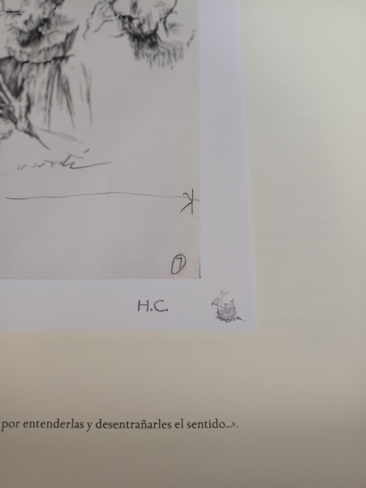 Don Quijote de la Mancha, ejemplar H.C., Editorial Planeta, ilustrado por Dalí