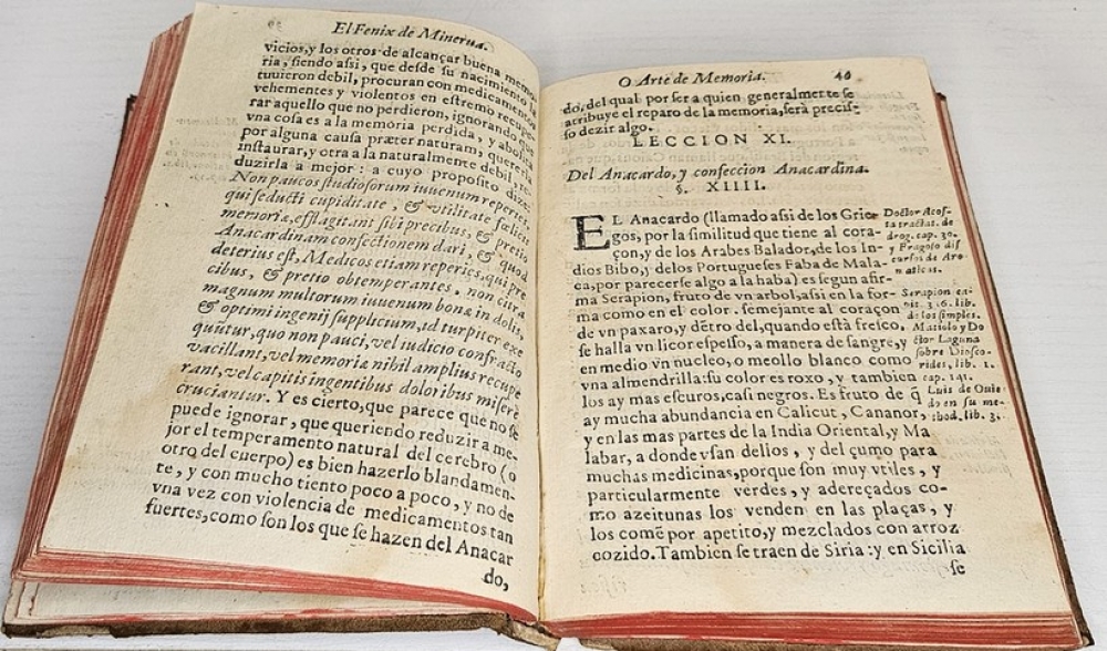 El fénix de Minerva y arte de memoria. Que enseña sin maestro a aprehender y retener, Madrid, 1626