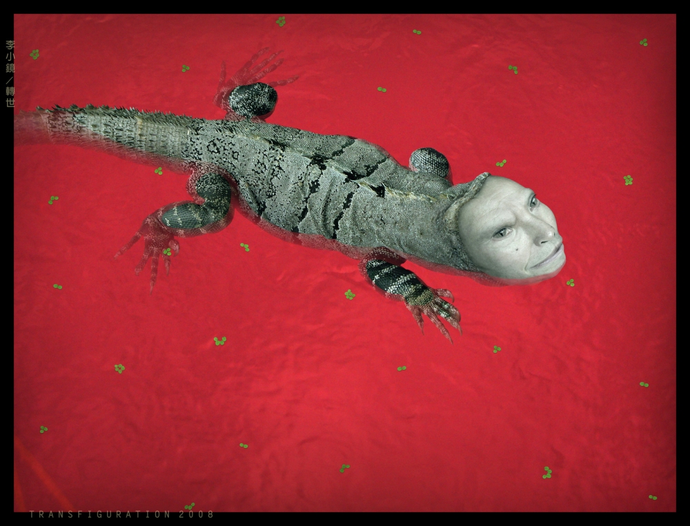 Daniel Lee, fotografía digital contemporánea, lagarto, 2008